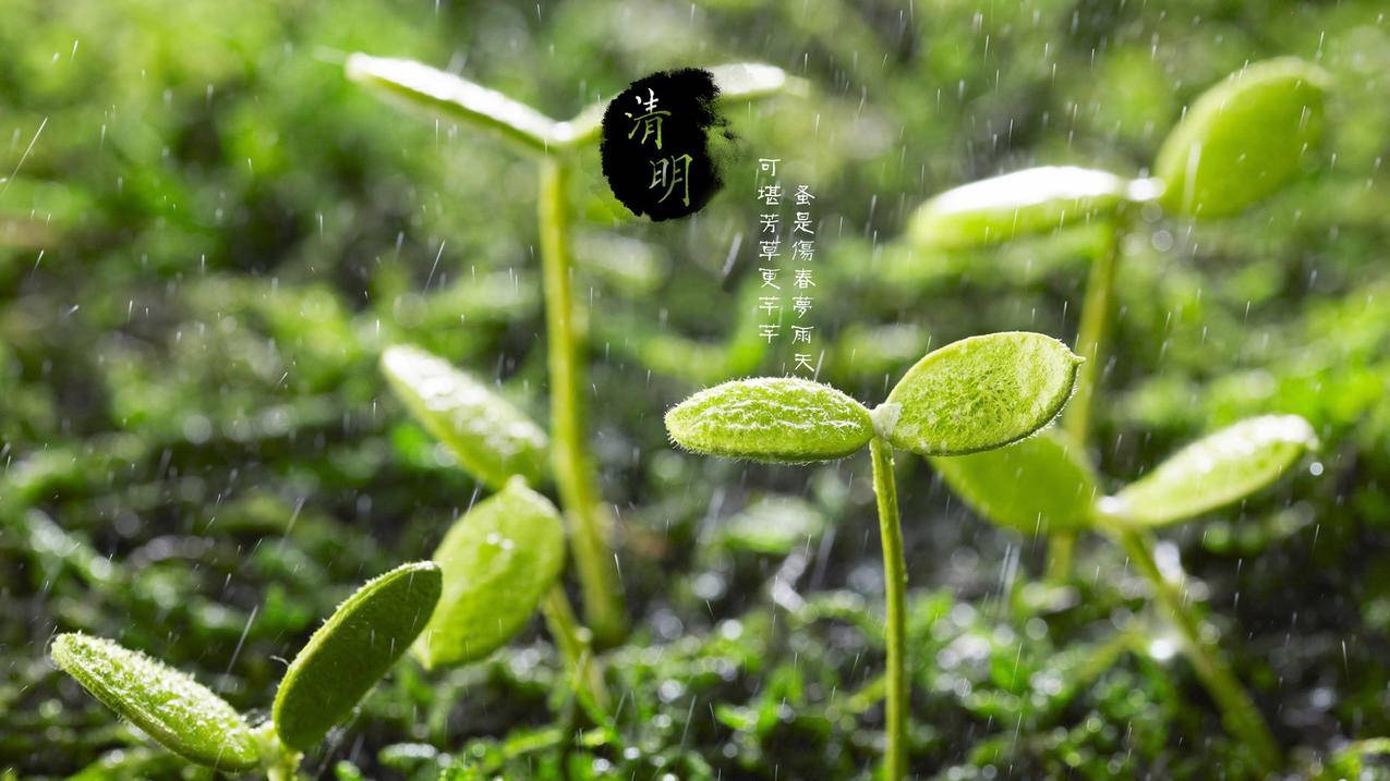 网红商城